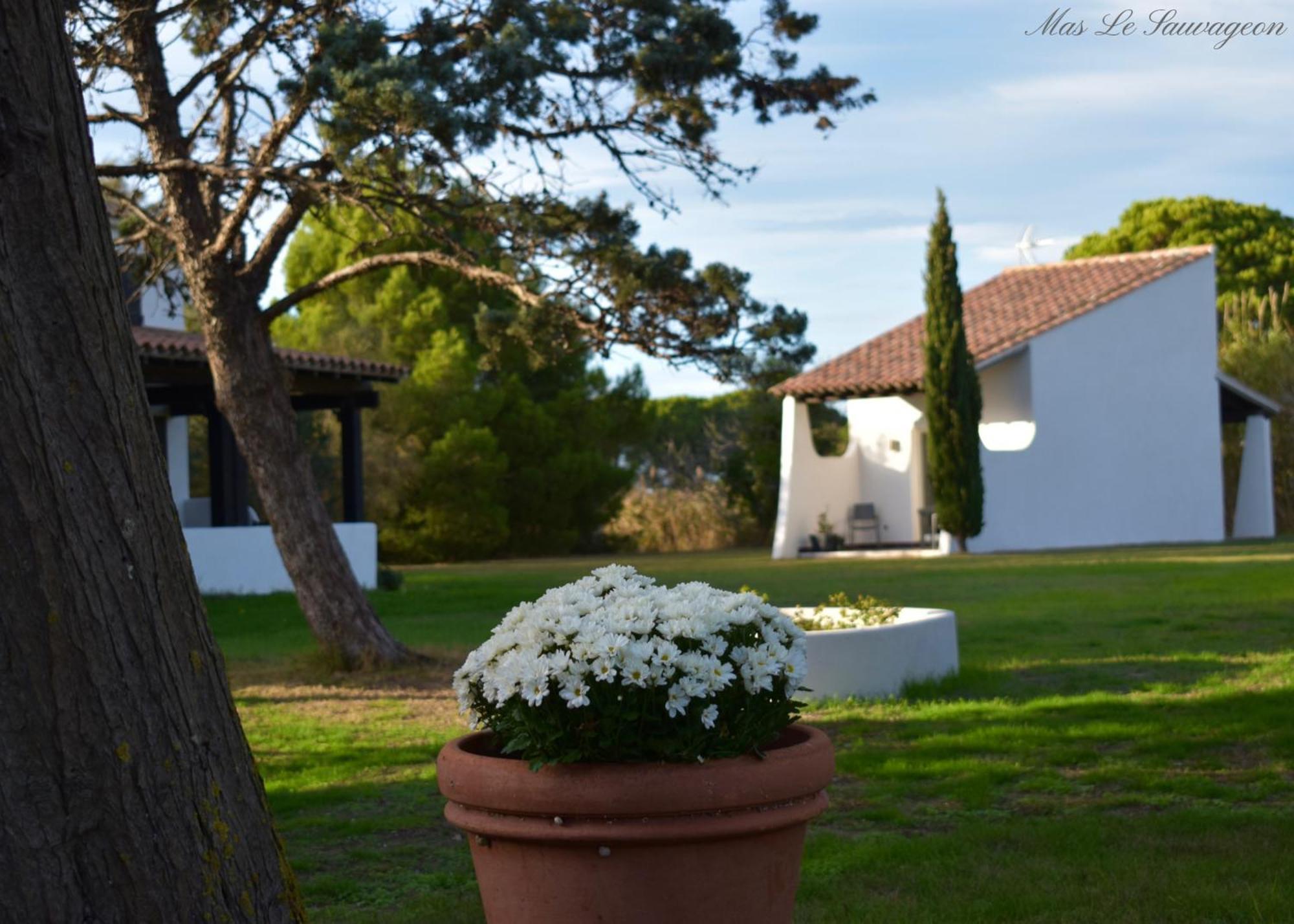 Hotel Mas Mls à Les Les Saintes-Maries-de-la-Mer Extérieur photo
